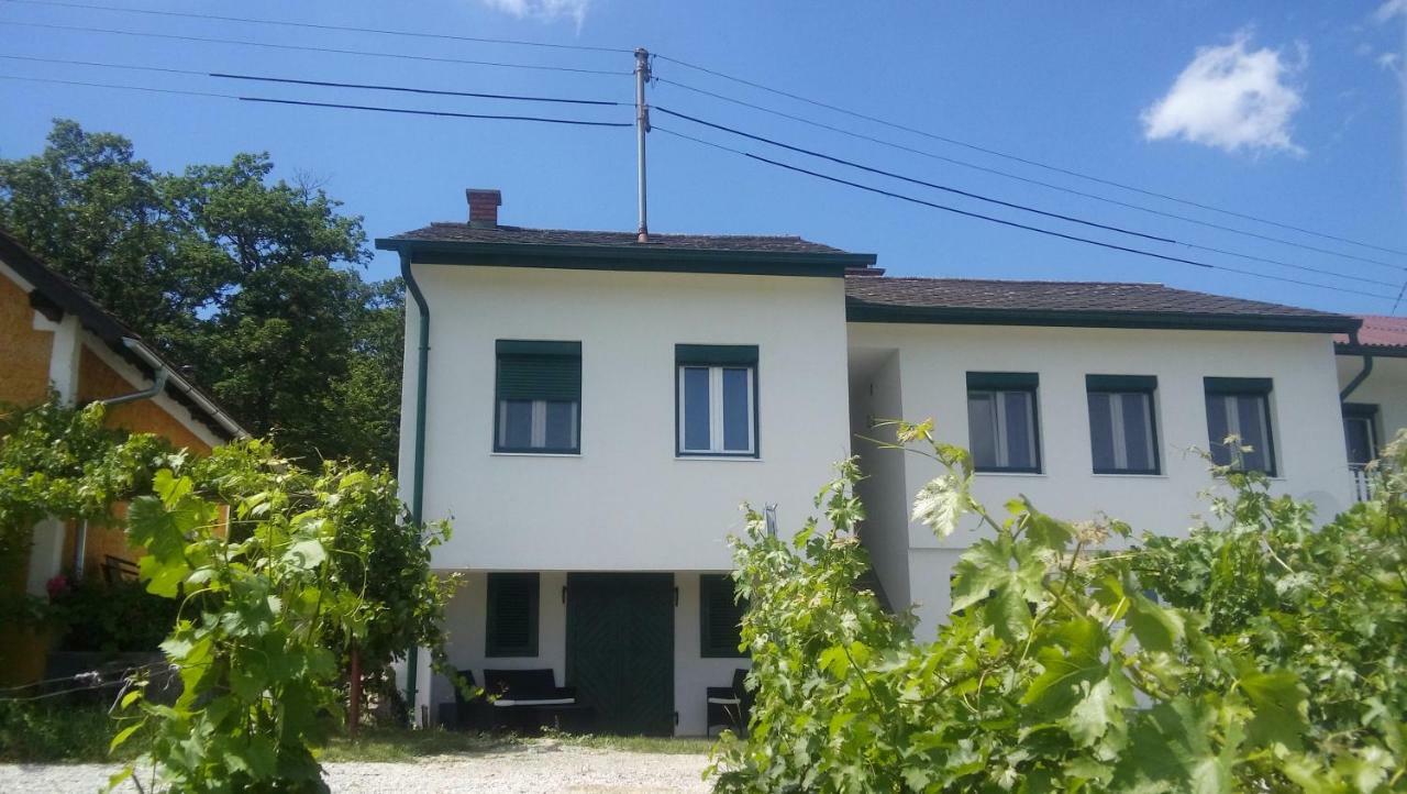 Ferienhaus Szapary II Eisenberg an der Pinka エクステリア 写真